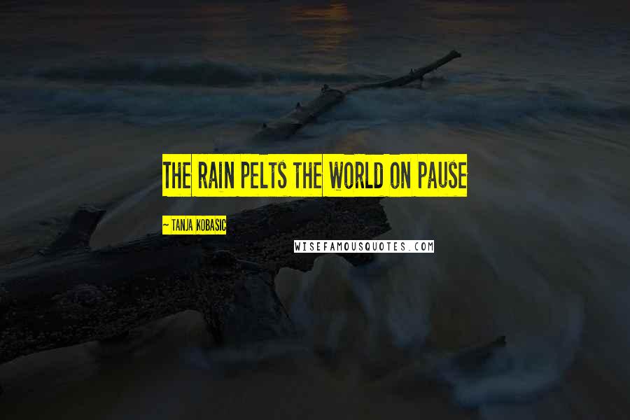 Tanja Kobasic Quotes: The rain pelts the world on pause