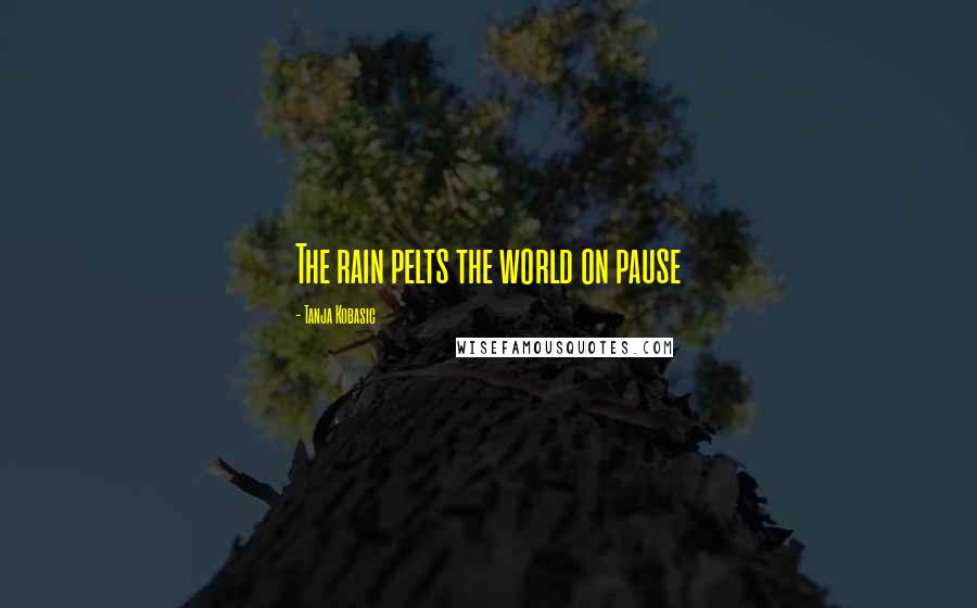 Tanja Kobasic Quotes: The rain pelts the world on pause