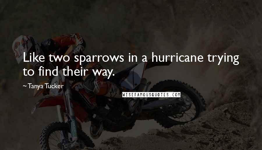 Tanya Tucker Quotes: Like two sparrows in a hurricane trying to find their way.