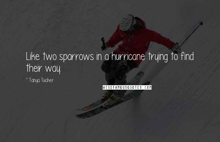 Tanya Tucker Quotes: Like two sparrows in a hurricane trying to find their way.
