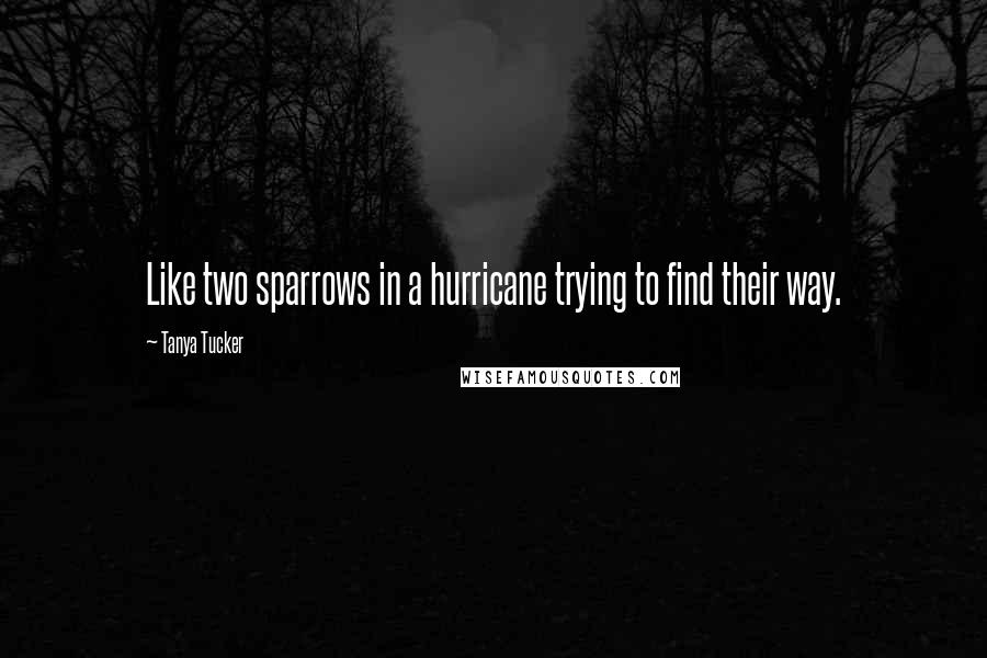 Tanya Tucker Quotes: Like two sparrows in a hurricane trying to find their way.