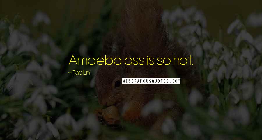Tao Lin Quotes: Amoeba ass is so hot.