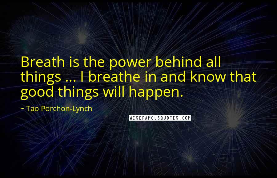 Tao Porchon-Lynch Quotes: Breath is the power behind all things ... I breathe in and know that good things will happen.