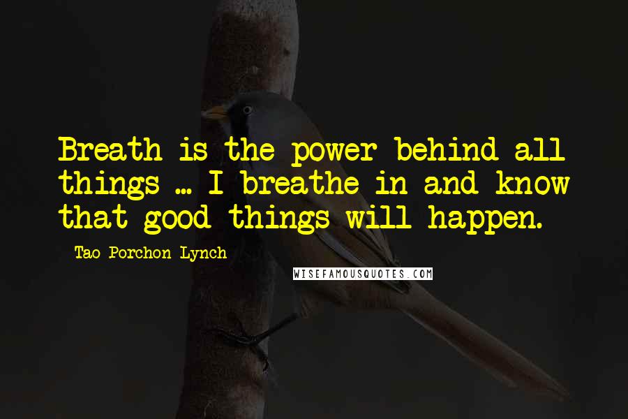 Tao Porchon-Lynch Quotes: Breath is the power behind all things ... I breathe in and know that good things will happen.