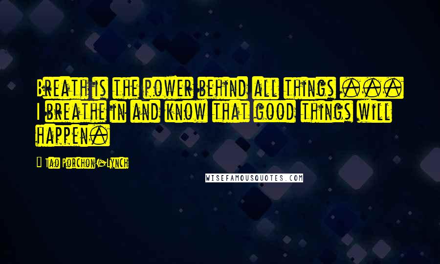 Tao Porchon-Lynch Quotes: Breath is the power behind all things ... I breathe in and know that good things will happen.