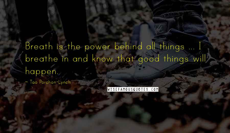 Tao Porchon-Lynch Quotes: Breath is the power behind all things ... I breathe in and know that good things will happen.