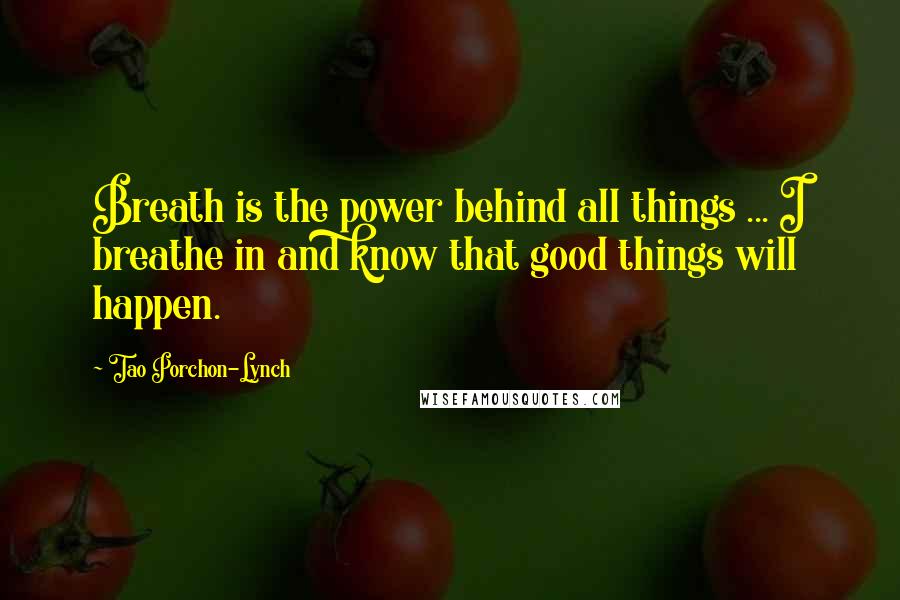 Tao Porchon-Lynch Quotes: Breath is the power behind all things ... I breathe in and know that good things will happen.