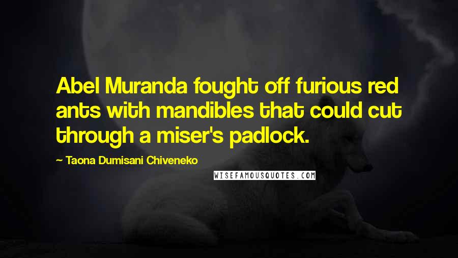 Taona Dumisani Chiveneko Quotes: Abel Muranda fought off furious red ants with mandibles that could cut through a miser's padlock.