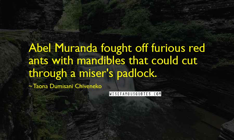 Taona Dumisani Chiveneko Quotes: Abel Muranda fought off furious red ants with mandibles that could cut through a miser's padlock.