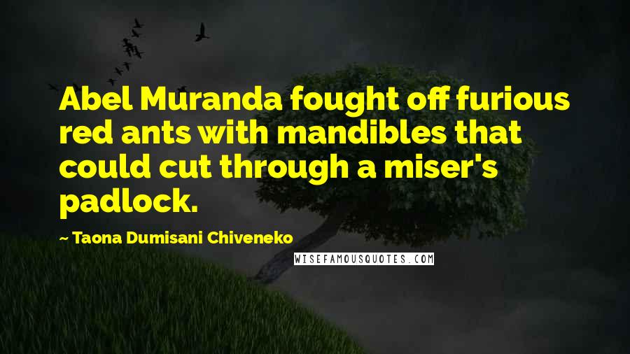 Taona Dumisani Chiveneko Quotes: Abel Muranda fought off furious red ants with mandibles that could cut through a miser's padlock.