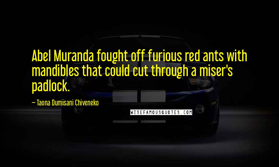 Taona Dumisani Chiveneko Quotes: Abel Muranda fought off furious red ants with mandibles that could cut through a miser's padlock.