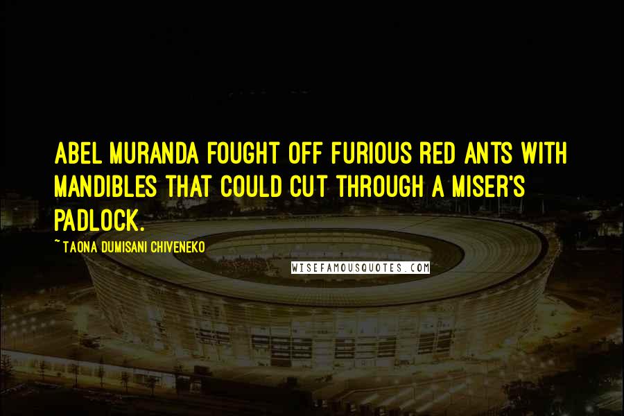 Taona Dumisani Chiveneko Quotes: Abel Muranda fought off furious red ants with mandibles that could cut through a miser's padlock.