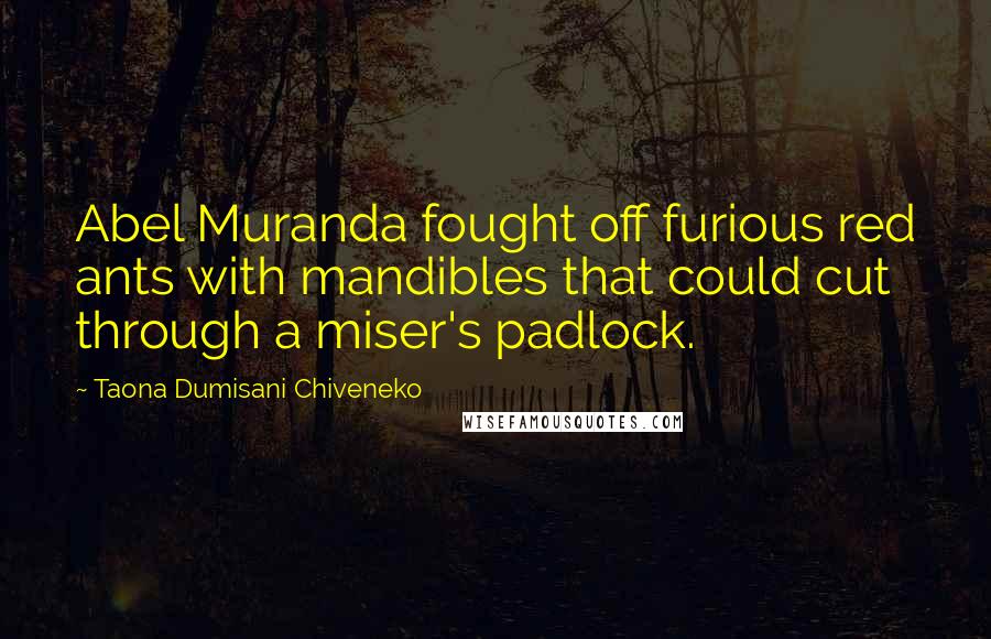 Taona Dumisani Chiveneko Quotes: Abel Muranda fought off furious red ants with mandibles that could cut through a miser's padlock.