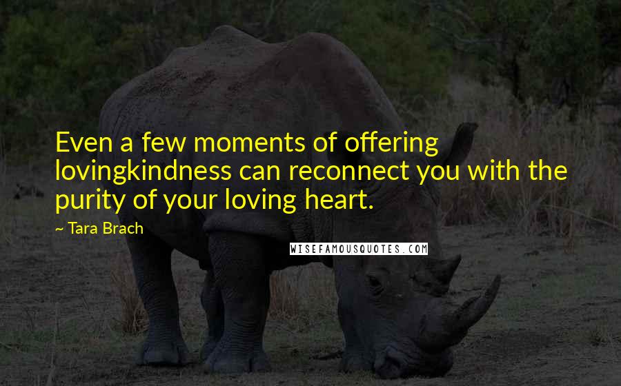 Tara Brach Quotes: Even a few moments of offering lovingkindness can reconnect you with the purity of your loving heart.