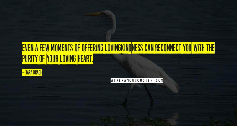 Tara Brach Quotes: Even a few moments of offering lovingkindness can reconnect you with the purity of your loving heart.