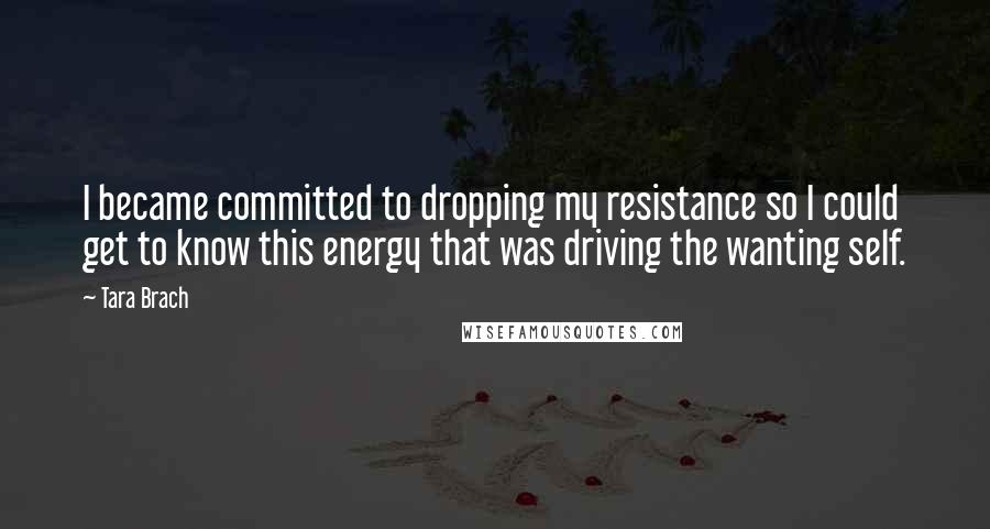 Tara Brach Quotes: I became committed to dropping my resistance so I could get to know this energy that was driving the wanting self.
