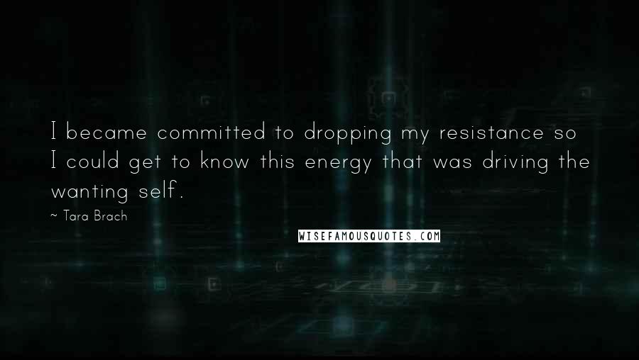 Tara Brach Quotes: I became committed to dropping my resistance so I could get to know this energy that was driving the wanting self.