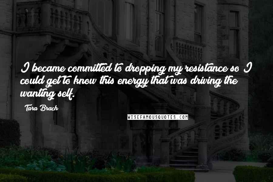 Tara Brach Quotes: I became committed to dropping my resistance so I could get to know this energy that was driving the wanting self.