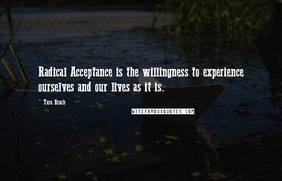 Tara Brach Quotes: Radical Acceptance is the willingness to experience ourselves and our lives as it is.