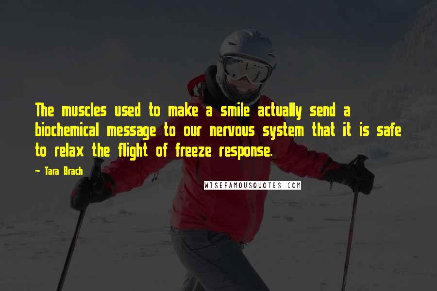 Tara Brach Quotes: The muscles used to make a smile actually send a biochemical message to our nervous system that it is safe to relax the flight of freeze response.