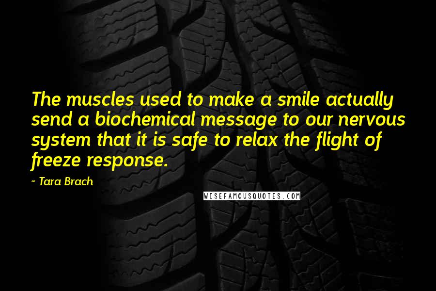 Tara Brach Quotes: The muscles used to make a smile actually send a biochemical message to our nervous system that it is safe to relax the flight of freeze response.