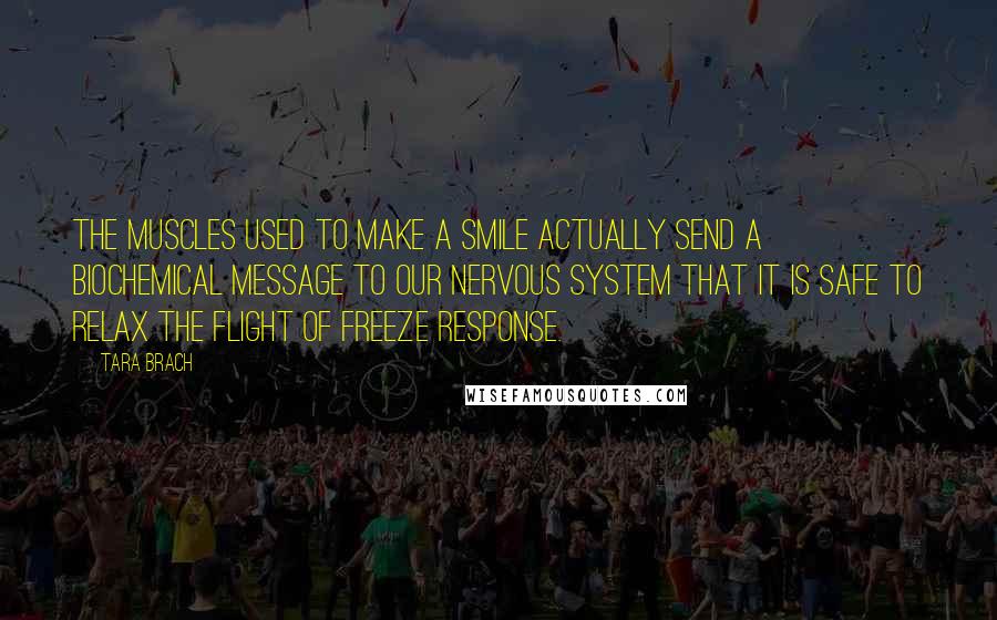 Tara Brach Quotes: The muscles used to make a smile actually send a biochemical message to our nervous system that it is safe to relax the flight of freeze response.