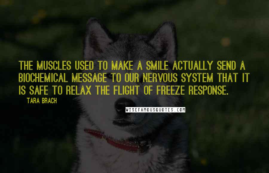 Tara Brach Quotes: The muscles used to make a smile actually send a biochemical message to our nervous system that it is safe to relax the flight of freeze response.