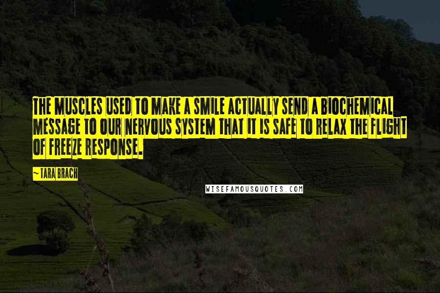 Tara Brach Quotes: The muscles used to make a smile actually send a biochemical message to our nervous system that it is safe to relax the flight of freeze response.