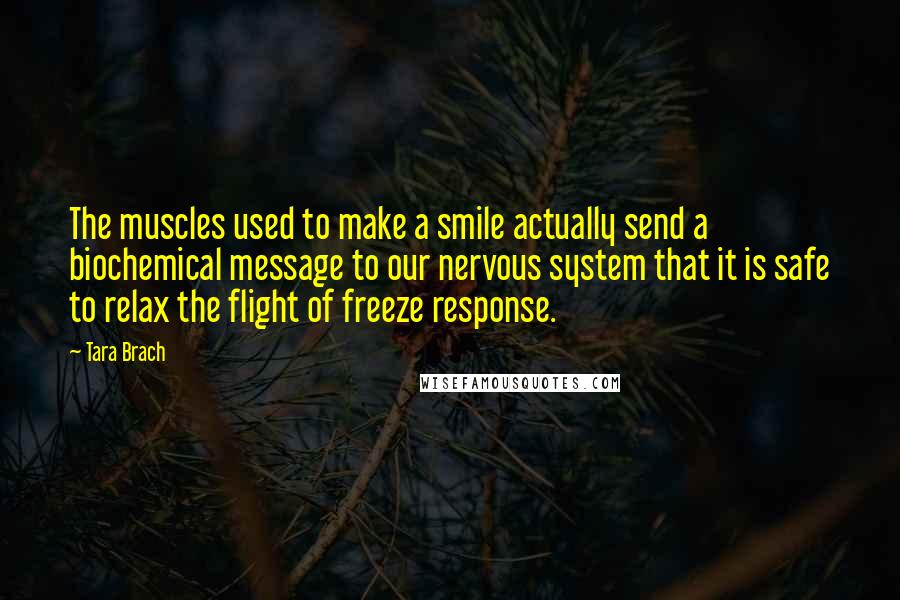 Tara Brach Quotes: The muscles used to make a smile actually send a biochemical message to our nervous system that it is safe to relax the flight of freeze response.