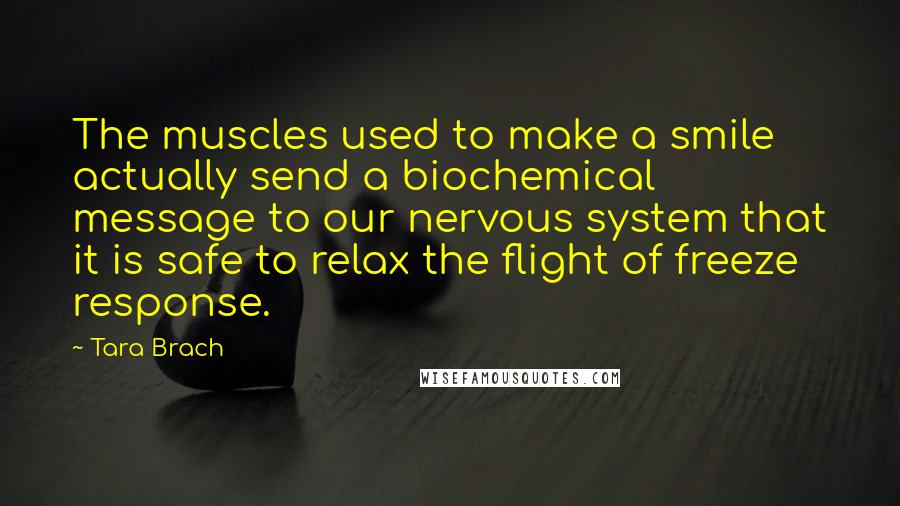 Tara Brach Quotes: The muscles used to make a smile actually send a biochemical message to our nervous system that it is safe to relax the flight of freeze response.