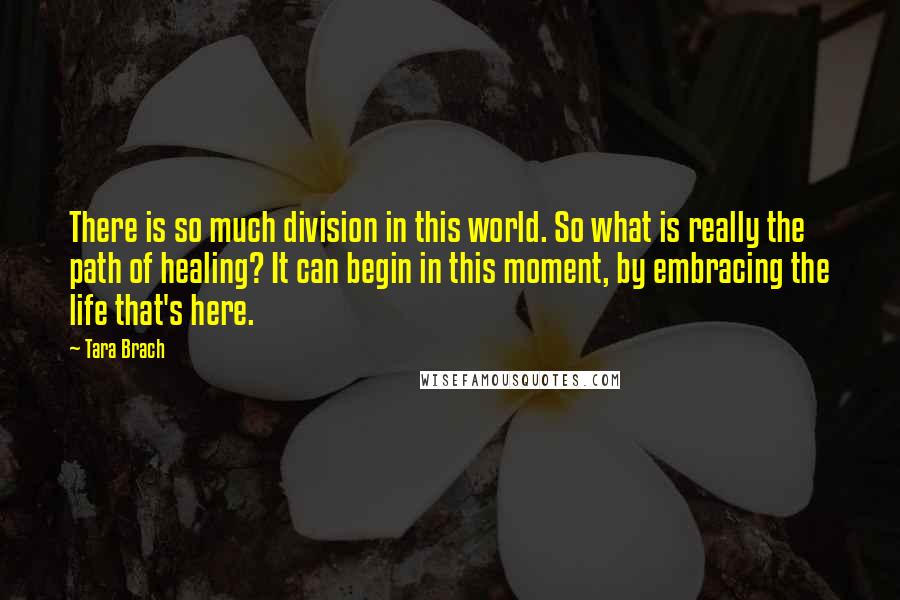 Tara Brach Quotes: There is so much division in this world. So what is really the path of healing? It can begin in this moment, by embracing the life that's here.