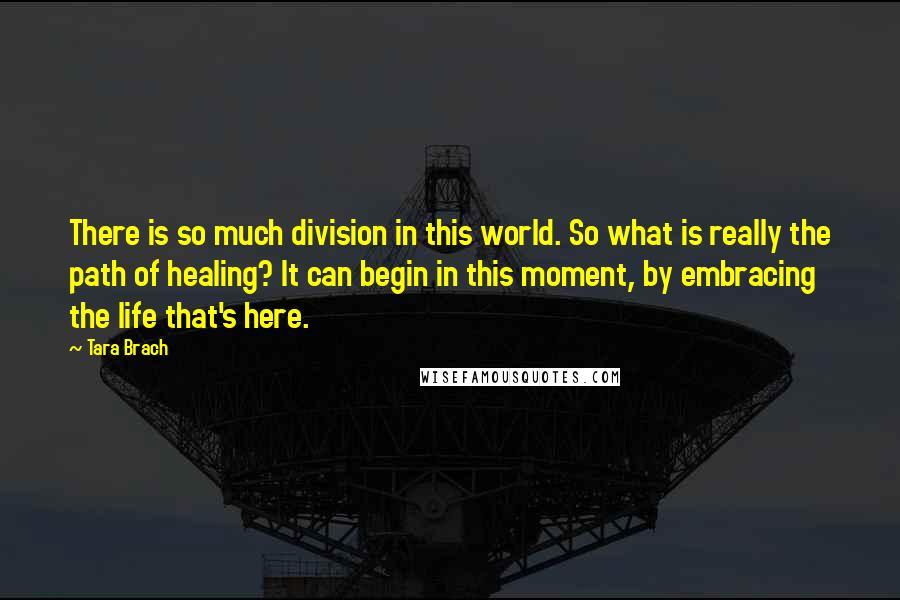 Tara Brach Quotes: There is so much division in this world. So what is really the path of healing? It can begin in this moment, by embracing the life that's here.