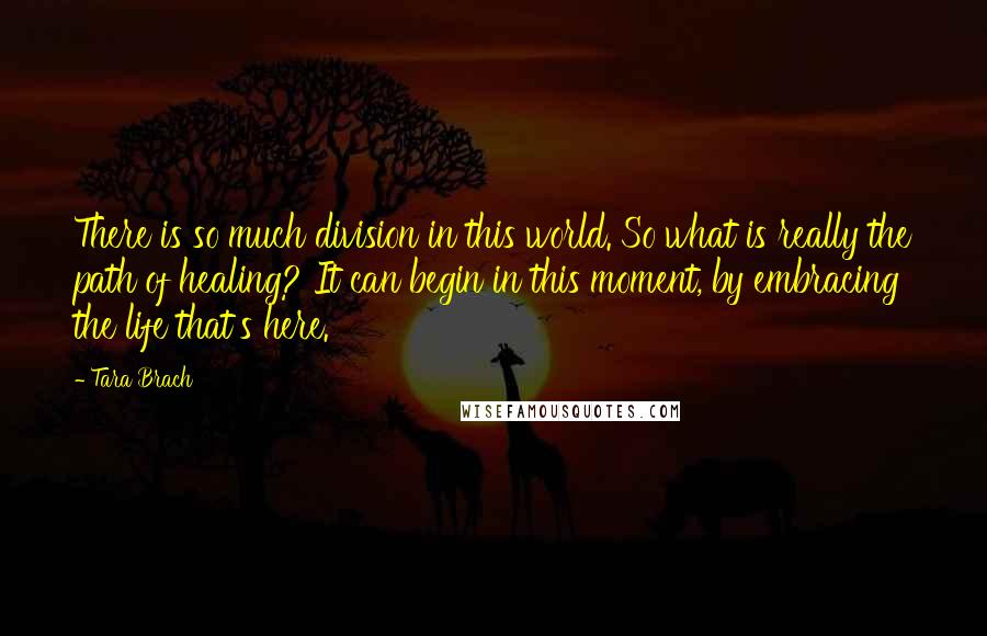 Tara Brach Quotes: There is so much division in this world. So what is really the path of healing? It can begin in this moment, by embracing the life that's here.