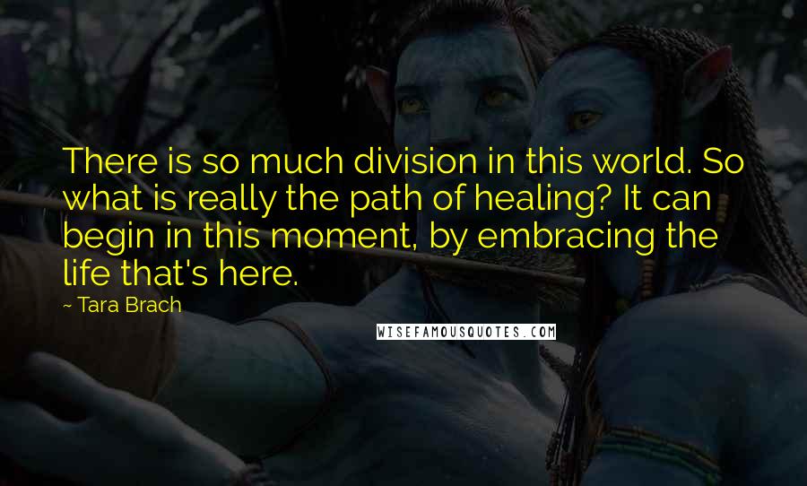 Tara Brach Quotes: There is so much division in this world. So what is really the path of healing? It can begin in this moment, by embracing the life that's here.