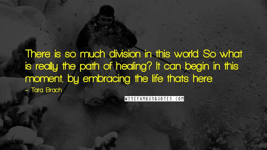 Tara Brach Quotes: There is so much division in this world. So what is really the path of healing? It can begin in this moment, by embracing the life that's here.