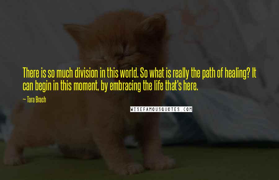 Tara Brach Quotes: There is so much division in this world. So what is really the path of healing? It can begin in this moment, by embracing the life that's here.