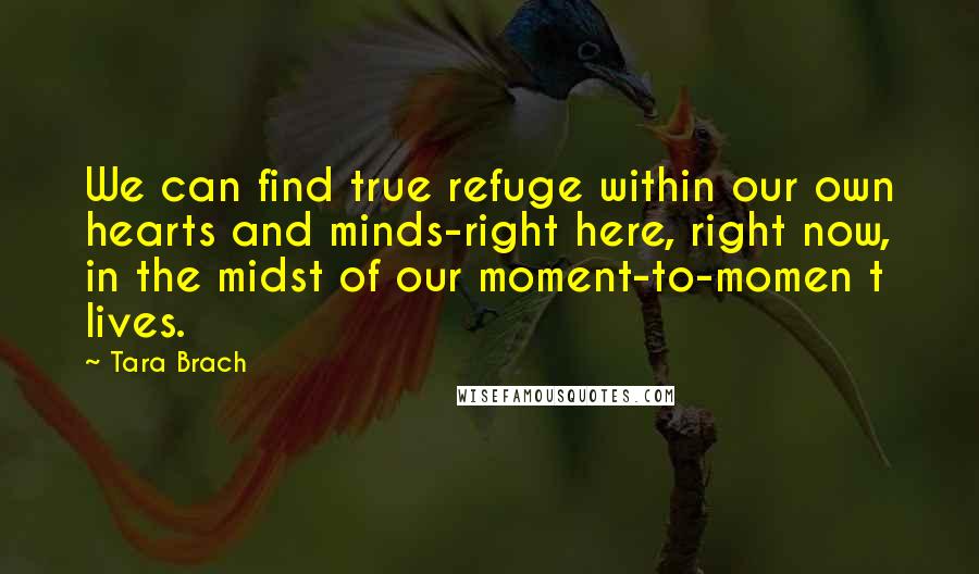 Tara Brach Quotes: We can find true refuge within our own hearts and minds-right here, right now, in the midst of our moment-to-momen t lives.