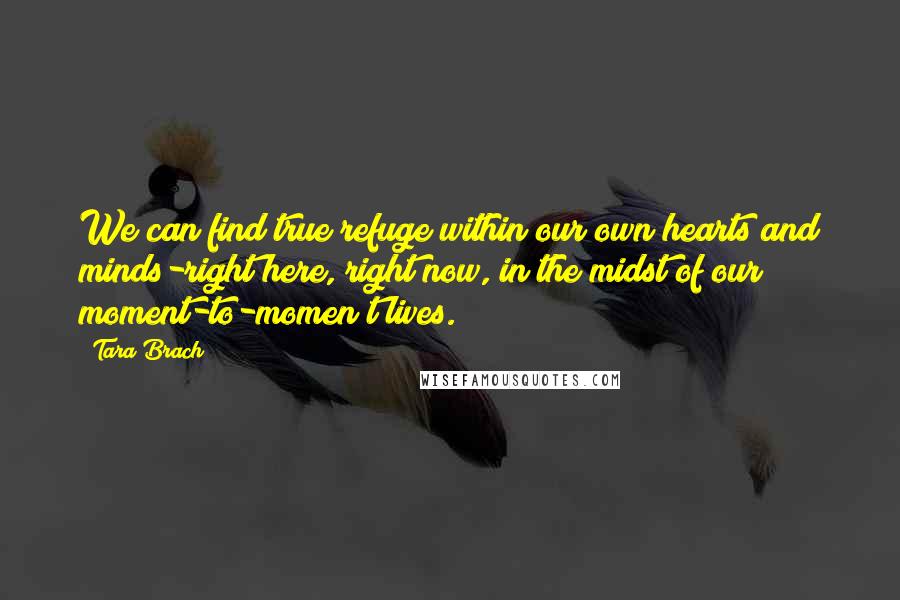 Tara Brach Quotes: We can find true refuge within our own hearts and minds-right here, right now, in the midst of our moment-to-momen t lives.