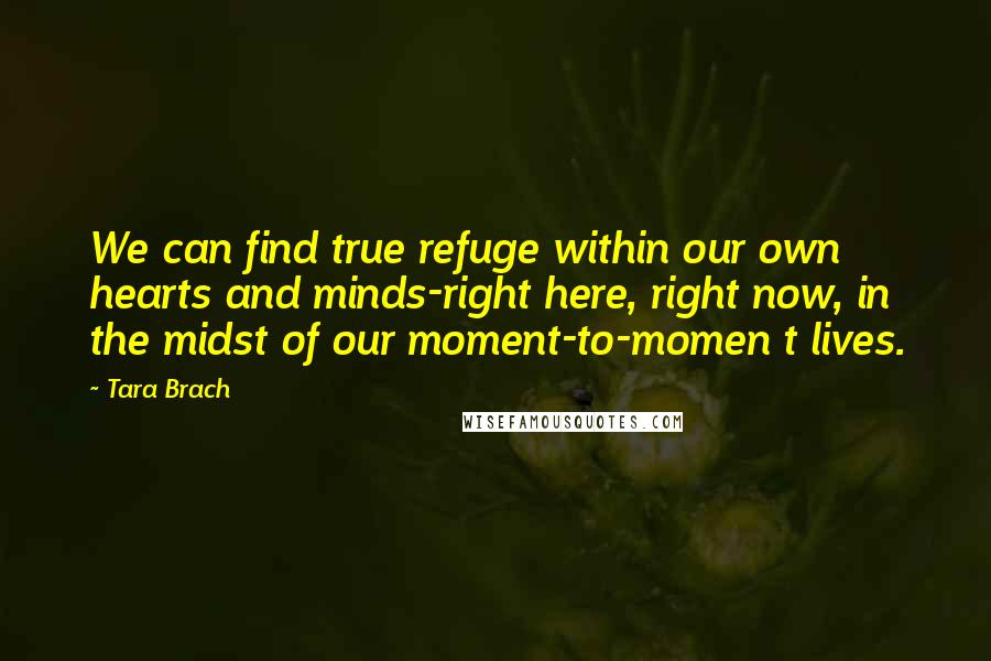 Tara Brach Quotes: We can find true refuge within our own hearts and minds-right here, right now, in the midst of our moment-to-momen t lives.