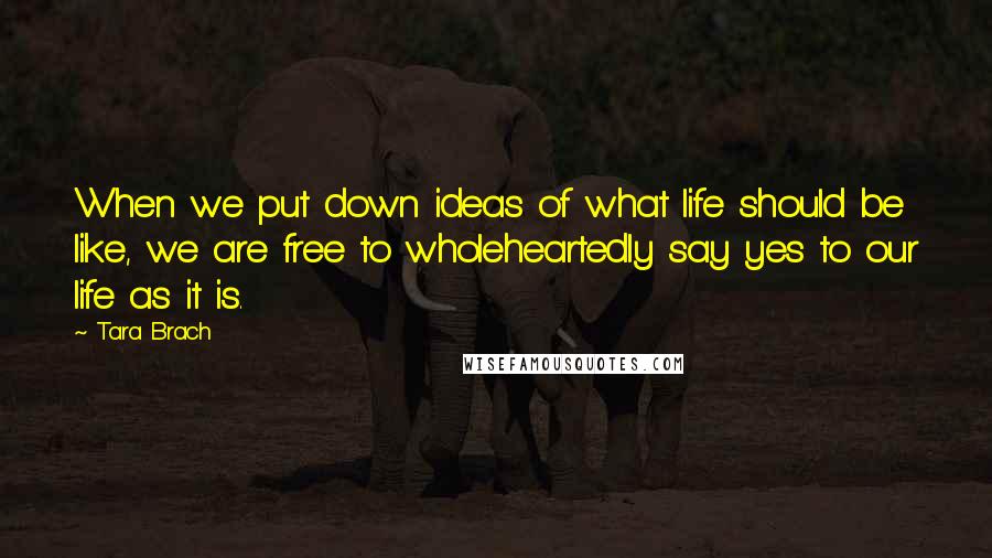 Tara Brach Quotes: When we put down ideas of what life should be like, we are free to wholeheartedly say yes to our life as it is.