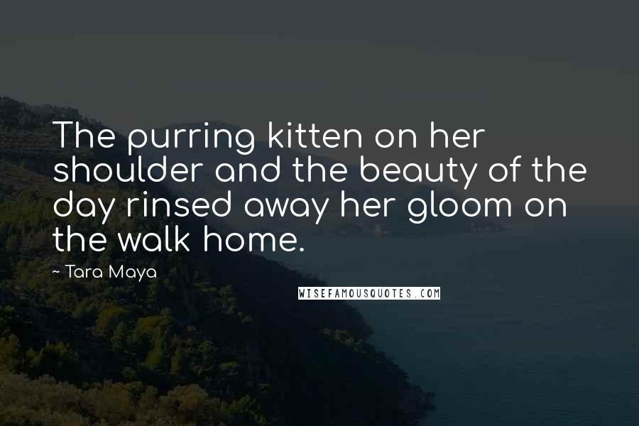 Tara Maya Quotes: The purring kitten on her shoulder and the beauty of the day rinsed away her gloom on the walk home.