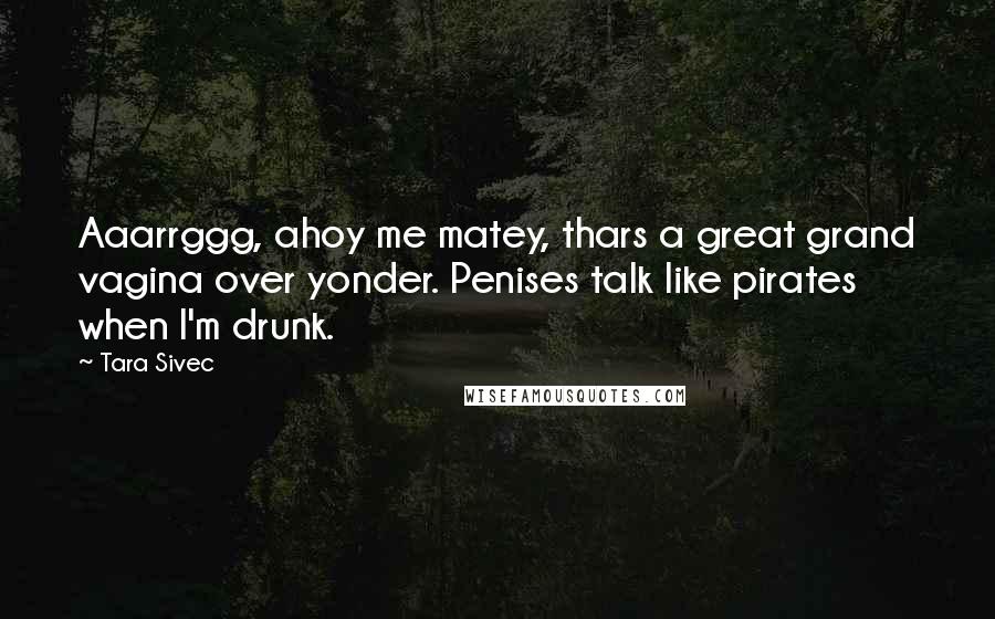 Tara Sivec Quotes: Aaarrggg, ahoy me matey, thars a great grand vagina over yonder. Penises talk like pirates when I'm drunk.