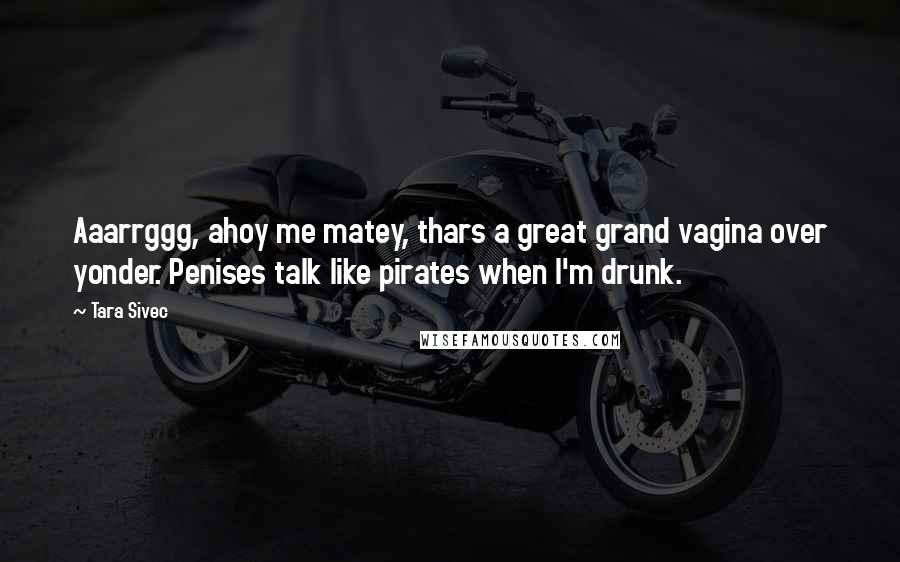 Tara Sivec Quotes: Aaarrggg, ahoy me matey, thars a great grand vagina over yonder. Penises talk like pirates when I'm drunk.