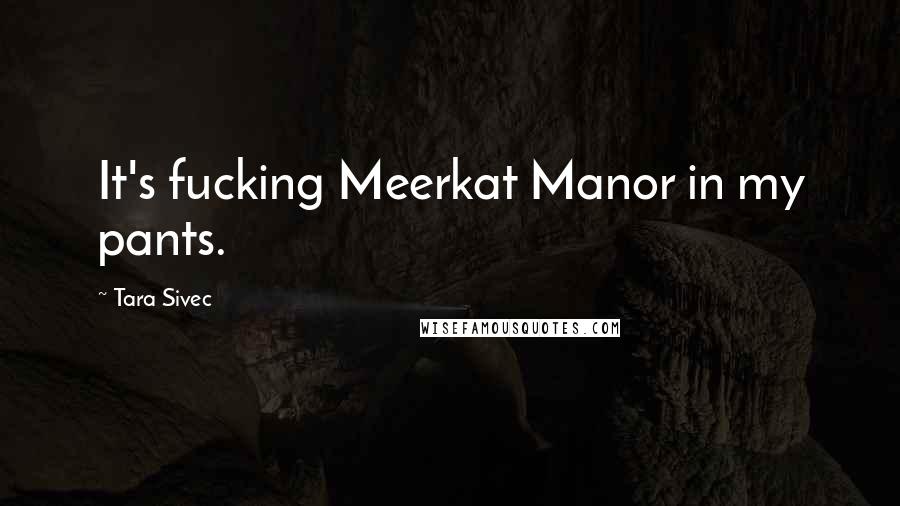 Tara Sivec Quotes: It's fucking Meerkat Manor in my pants.