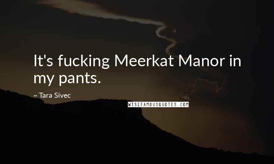 Tara Sivec Quotes: It's fucking Meerkat Manor in my pants.
