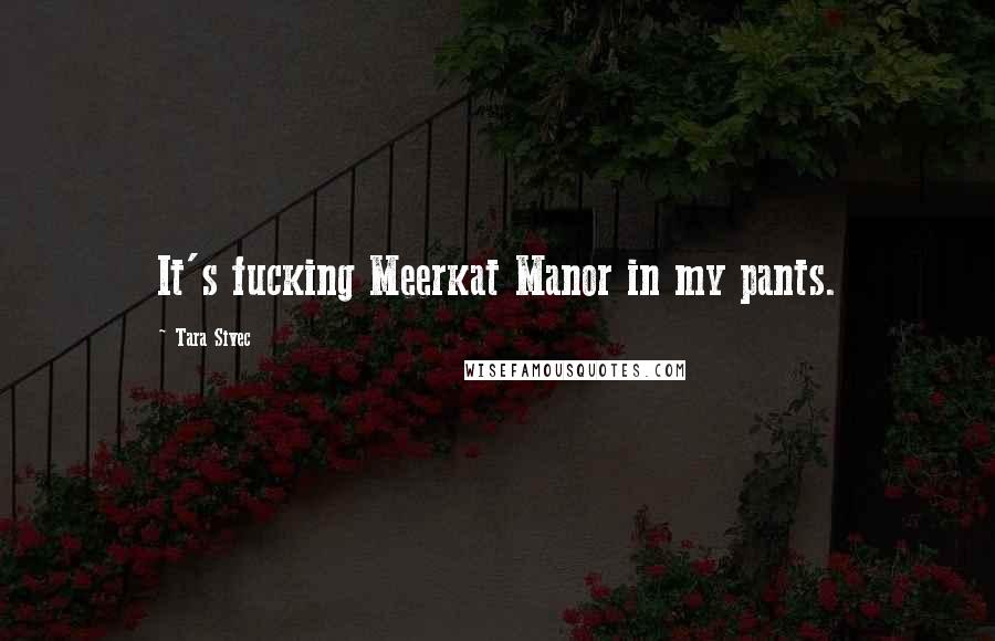 Tara Sivec Quotes: It's fucking Meerkat Manor in my pants.
