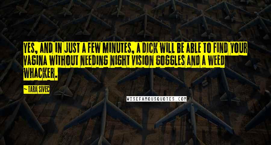 Tara Sivec Quotes: Yes, and in just a few minutes, a dIck will be able to find your vagina without needing night vision goggles and a weed whacker.