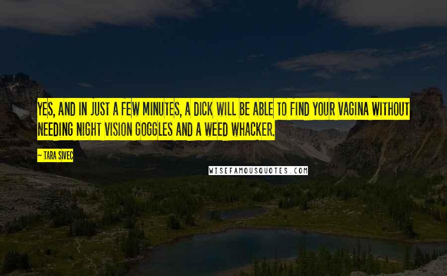 Tara Sivec Quotes: Yes, and in just a few minutes, a dIck will be able to find your vagina without needing night vision goggles and a weed whacker.