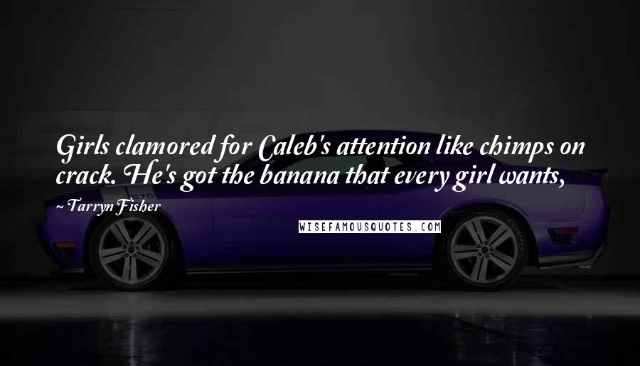 Tarryn Fisher Quotes: Girls clamored for Caleb's attention like chimps on crack. He's got the banana that every girl wants,