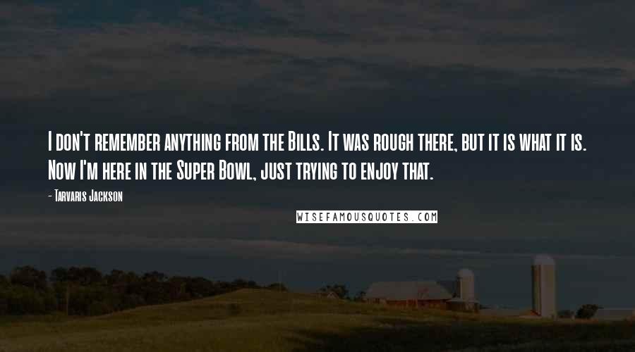 Tarvaris Jackson Quotes: I don't remember anything from the Bills. It was rough there, but it is what it is. Now I'm here in the Super Bowl, just trying to enjoy that.